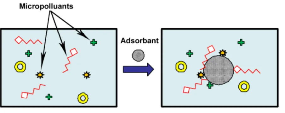 Figure II.1:schéma de phénomène de l'adsorption. 