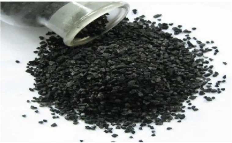 Figure III.4 : charbon actif granulé 