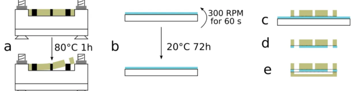 Figure 2. Fabrication and assembly of the spheroid culture chamber array (SCCA): (a) The 3D printed molds of the thick and channel layers were screwed onto polymethylmetacrylate (PMMA) plates, polydimethylsiloxane (PDMS) at 10:1 was poured inside the molds
