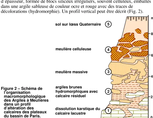 Figure 2 – Schéma de  l’organisation 