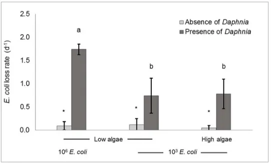 Fig 2. Grazing of Daphnia pulex on Escherichia coli in ADaM matrix. Effect of E. coli initial concentration (10 3 or 10 6 CFU.mL -1 ) and algae quantity (low algal food, 0.1 mg C.L -1 or high algal food, 1.7 mg C.L -1 ) on E.