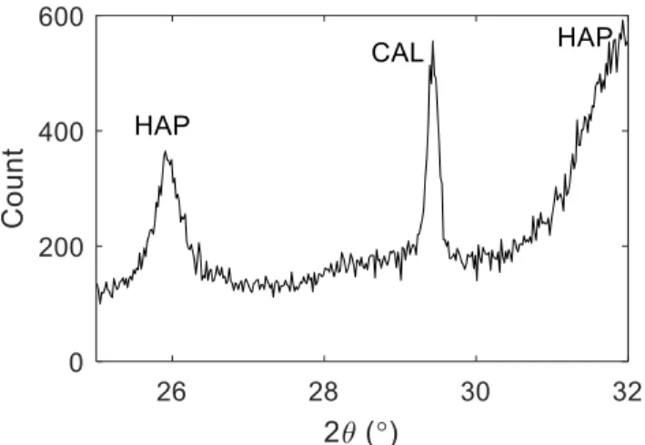 Figure A1. XRD pattern of precipitates sampled in cell #2. Main peaks of HAP and CAL diffractograms are 589 