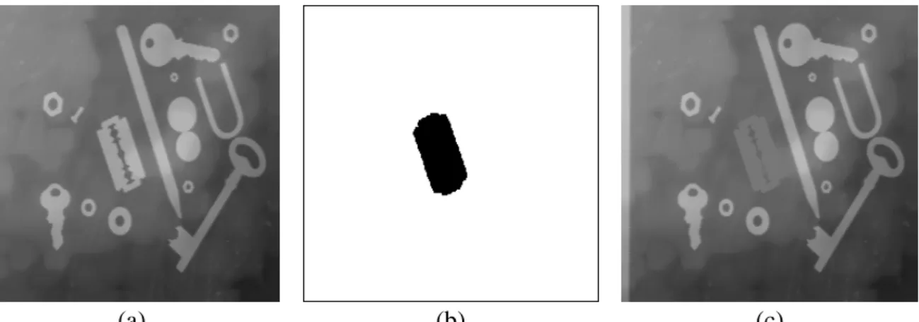 Figure 7: The initial image (a) is rebuilt by taking only those maxima which are outside the marker set (b)
