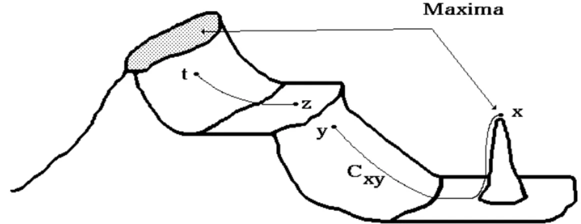 Figure 1: Point x belongs to a maximum because, starting from this point, it is impossible to  reach  a  higher  point  as  y  by  following  a  non  descending  Path
