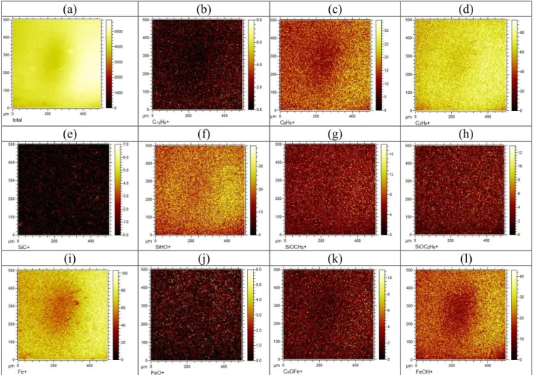Figure 3. A series of positive ion spatially maps showing a 250 µm × 250 µm area of the coated  surface normalized pixel by pixel with respect to the total counts images (a) (experiment #1-Table  1S)