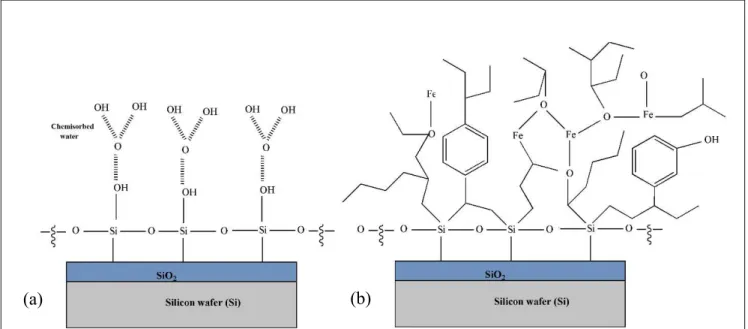 Figure 4. Schematic of (a) bare silicon wafer (b) deposited oligomeric film on silicon wafer