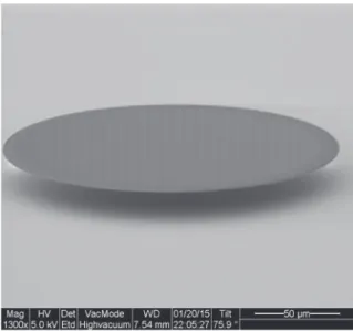 Fig. 1. Scanning electron micrograph of an optical microdisk.