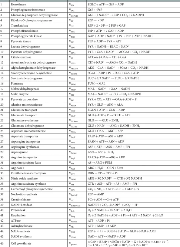 Table 1.  Reactions of the metabolic network. N.B. H + , O 2 , CO 2 , Pi, PPi and H 2 O were not considered in mass  balances.