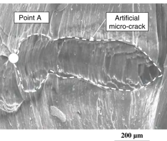 Figure 4. SBR crack tip.