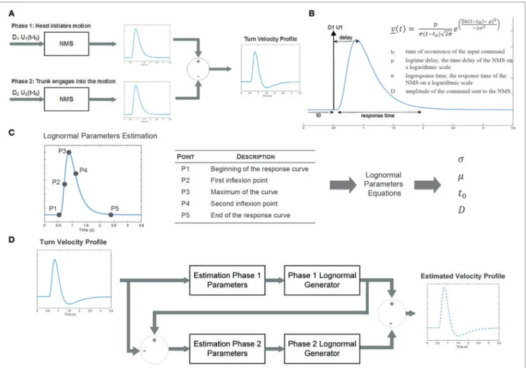 FIGURE 2 | Sigma-log normal model conceptual framework. (A) Upon initiation of a turn, a first command is sent to the neuromuscular system (NMS) to initiate the head motion