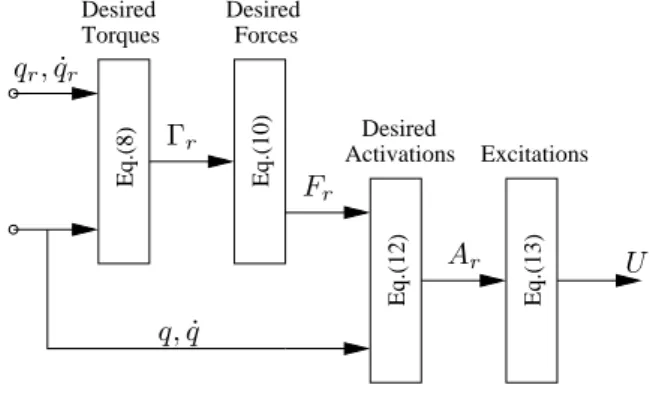 Fig. 2. Elements of human arm musclen driven simulation. U = [u 1 · · · u 6 ] T is the muscular excitations vector (and then the control input vector)