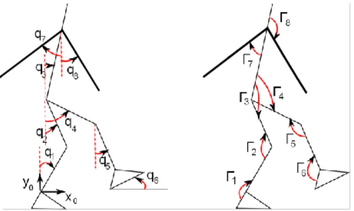 Figure 1. Planar generalized coordinates and applied torques. 
