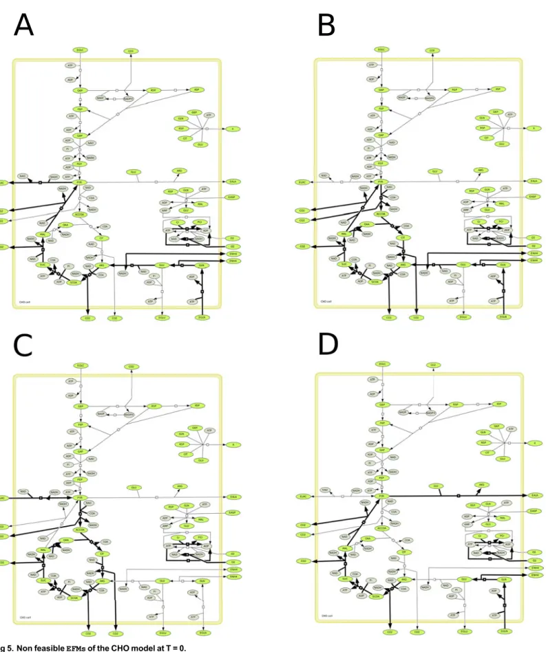 Fig 5. Non feasible EFMs of the CHO model at T = 0.