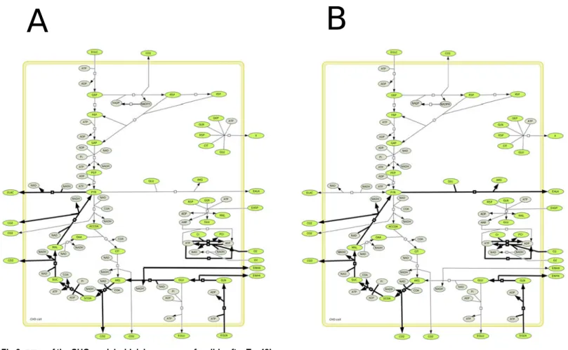 Fig 6. EFMs of the CHO model which become non feasible after T = 48h.
