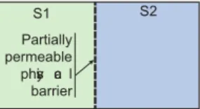 Figure 3 presents an example of site that is separated in two regions by a partially permeable physical barrier