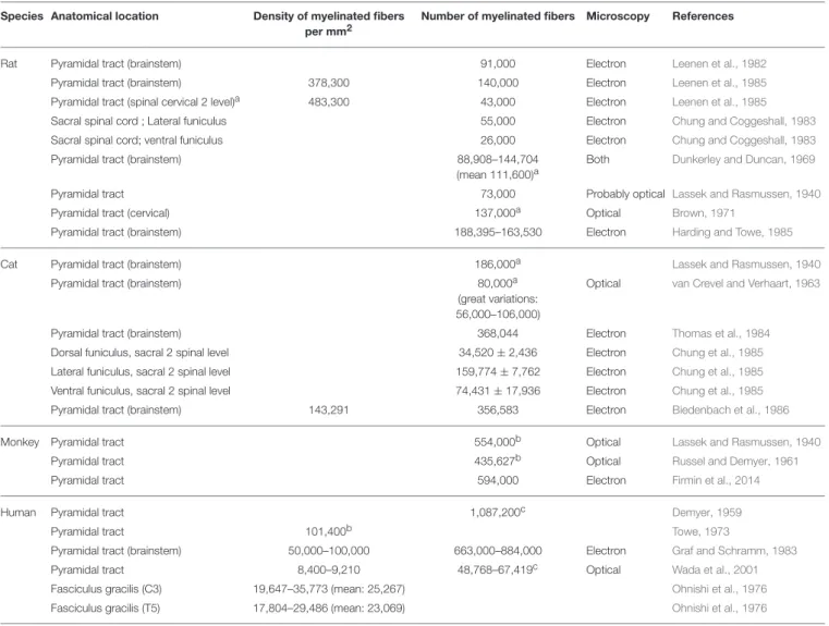 TABLE 1 | Counts and densities of myelinated fibers in nervous tissue (brainstem and spinal cord) in various species.