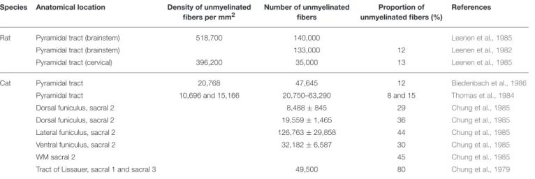 TABLE 4 | Counts and densities of unmyelinated fibers in brainstem and spinal cord.