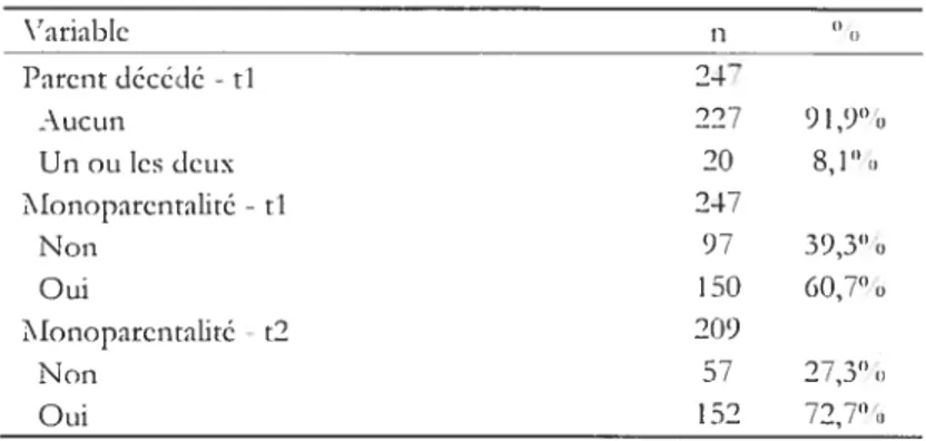 Tableau 2.5 : Descriptif des mesures relatives au statut social