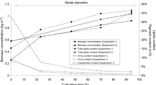 Fig. 6. Lipids productivity as a function of cultivation time for batch production protocols.