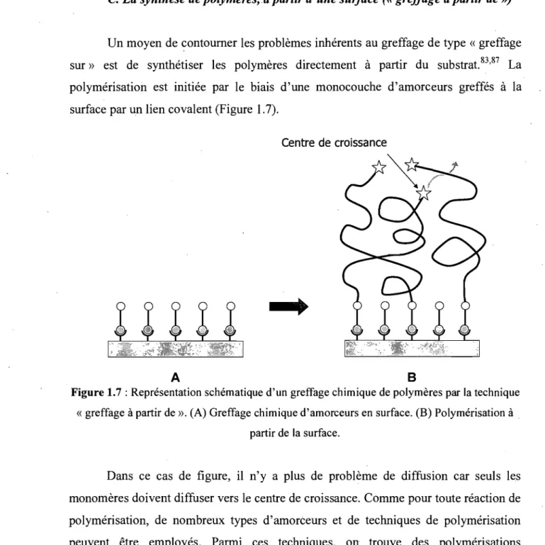 Figure 1.7: Représentation schématique d'un greffage chimique de polymères par  la technique 