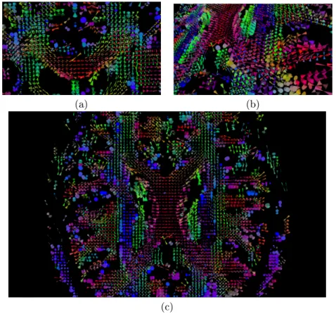 Figure 2: Visualization of the DDI parameters using cone glyphs on an axial slice of a subject's brain