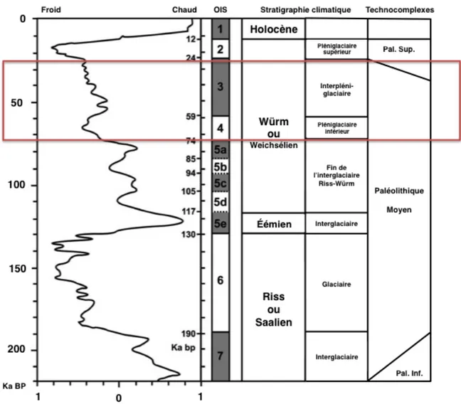 Figure 2 : Chronostratigraphie du Paléolithique moyen adapté de Fiorenza et al. (2015) et Pathou-Mathis (2000)