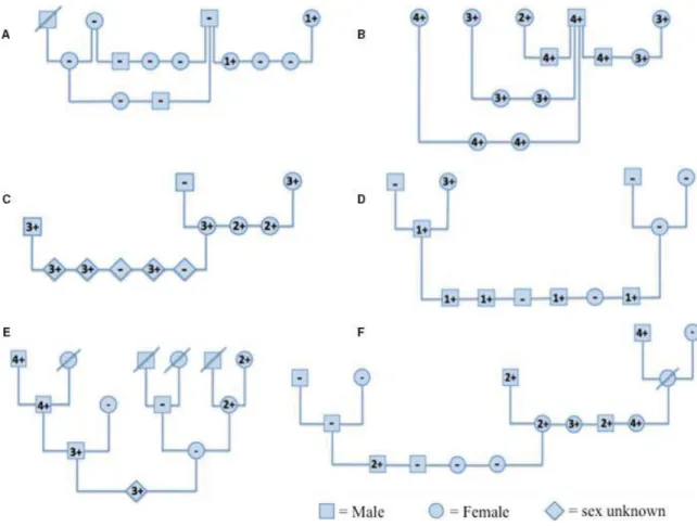 Figure 1. Pedigrees de chiens avec différentes combinaisons de DEA 1+ et DEA 1-.  
