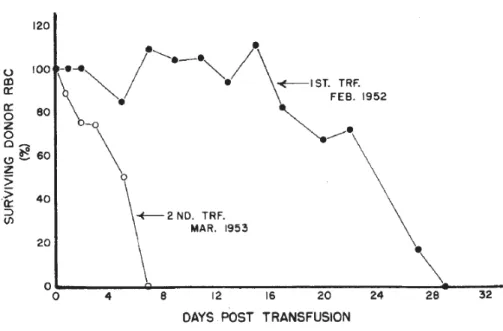 Figure 2. Survie des globules rouges lors d’une première et d’une deuxième transfusion chez le  même chien