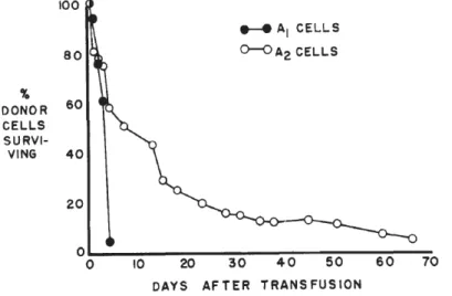 Figure 3. Survie des globules rouges DEA 1.1 (A 1 ) et DEA 1.2 (A 2 ) transfusés au même chien DEA  1-négatif préalablement sensibilisé avec des globules rouges DEA 1.1.