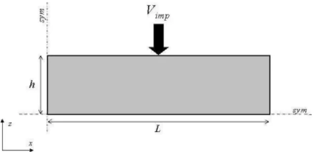 Figure 1. Two-phase simple compression test geometry. 