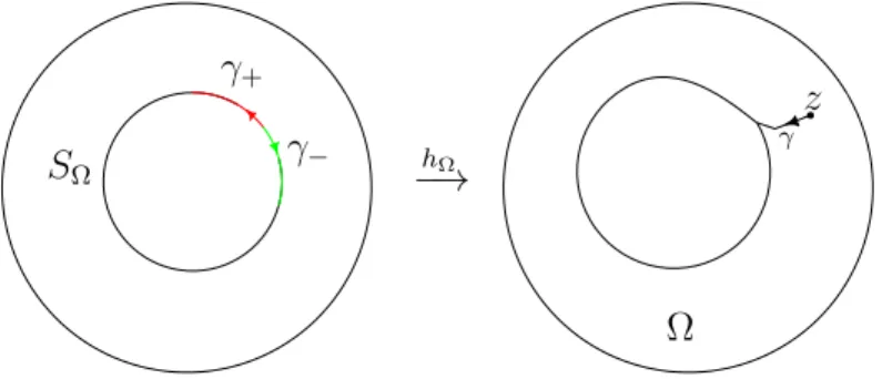 Figure 2 – The surface S Ω , the paths γ and γ ± .