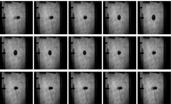 Figure 6. Ref. 08-134 specimen, thick plate, lateral camera (SA1), resolution 768 r 768 pixels, video sequence (reading from left to right, by line from high to down), time between each picture = 1/10000 s.