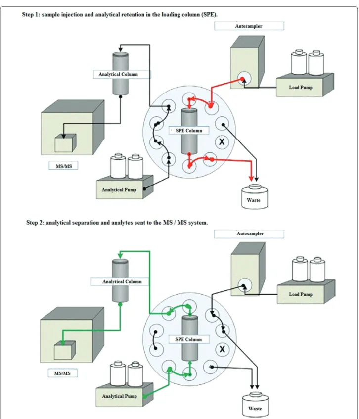 Fig. 2 The EQuan ™  system (column-switching technique) schema used in this experiment