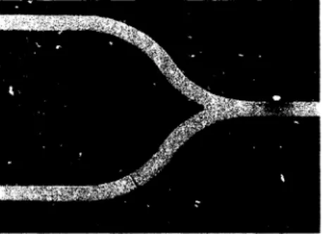 Figure 7: Optical photography ofa Mach-Zehnder interferometer structhre etched in a 2 jim thick PZT (36/64) film on glass substrate.