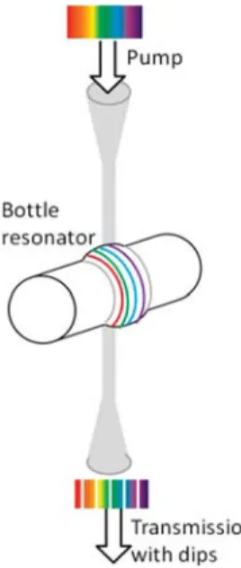 Figure 1. Structure under investigation: a ﬁber with bottle resonator is excited with a tapered ﬁber