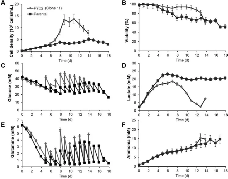Fig. 6. (A) Cell viability, (B) cell density, (C) glucose, (D) lactate (E) glutamine and (F) ammonia concentration proﬁles fed-batch cultivations of parental and PYC2 expressing clones in bioreactor cultures