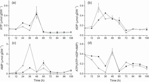 Table 2.   Energetics of  C. acetobutylicum  ATCC 824 batch culture on xylose with or without a 170 mM  NaCl supplement