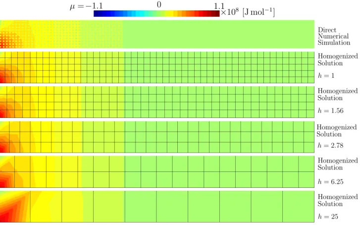 Figure 8: The chemical potential field µ in the heterogeneous domain (top plot) obtained by the direct numerical simulation (DNS)