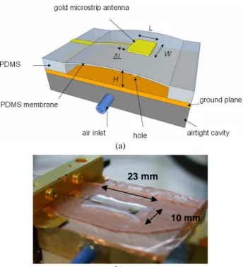 Fig. 1. Geometry of a microstrip antenna suspended over an air cavity.  