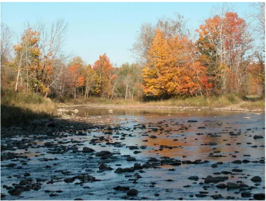 Figure 3.5 Study site 1. Eaton North river. Picture taken in August at low flow. 