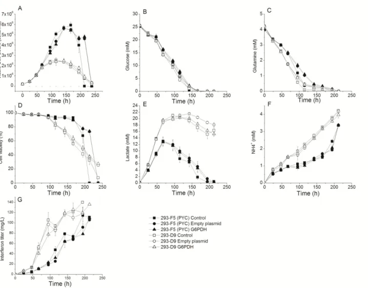 Figure  2.  Effect  of  G6PDH  overexpression  on  HEK-293  cell  behavior  in  shake  flask  culture