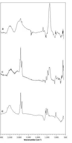 Fig. 4:  FTIR spectra of a) bare, c) positively charged and e) negatively charged untreated SPIONs, b)  bare, d) positively and f) negatively charged treated SPIONs  
