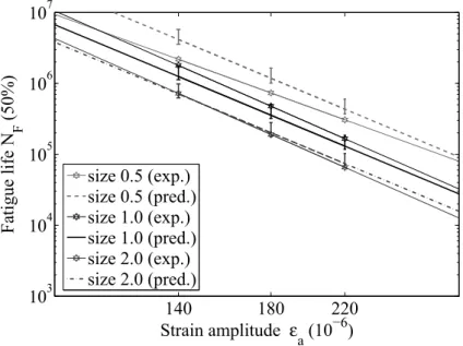 Figure 11. Comparison of model predictions (pred.) and experiment (exp.) fatigue line for each size.