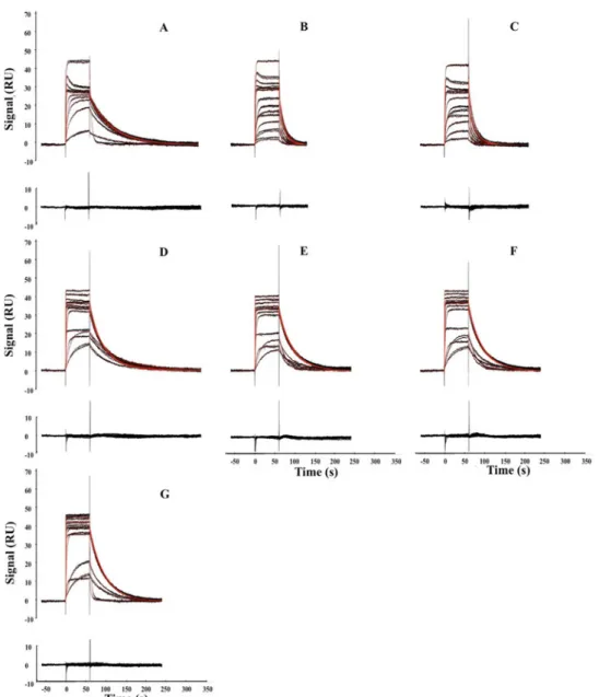 Figure 3.  Kinetic analysis of multiple analyte injection experiments. Black dots correspond to control- control-corrected and double referenced sensorgrams for all case studies