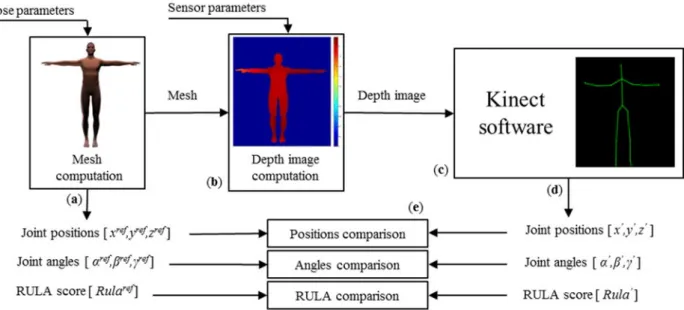 Figure 1. Overall method pipeline. (a) 3D meshes in specific poses, joint position values  of reference (x ref , y ref , z ref  in meters), computed joint angle values of reference (α ref , β ref , γ ref in degrees), and computed RULA score (Rula ref ); (b