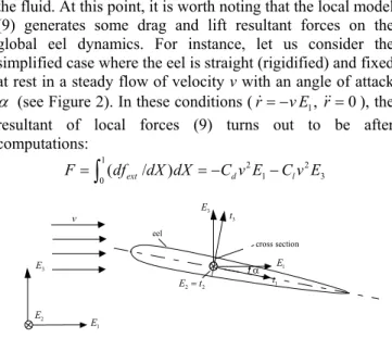 Figure 2: Eel in a straight rigidified configuration fixed in a steady flow. 