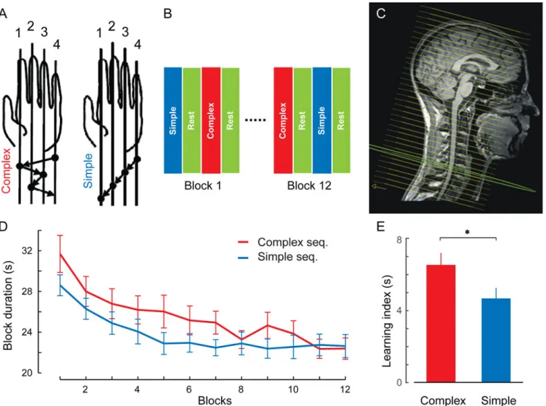 Fig 1. Behavioral and imaging protocols. (A) The complex (CS; 4-1-3-2-4) and simple (SS; 4-3-2-1) motor sequence learning tasks were executed with the left (nondominant) hand