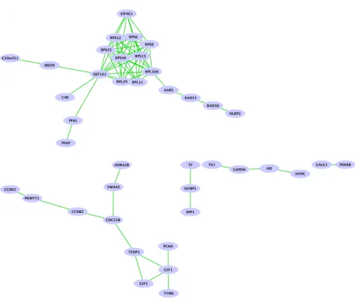 Figure 12: Signature obtained with the graph Lasso algorithm with stability selection.