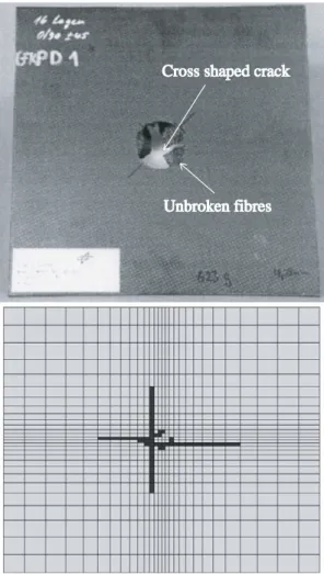 Figure 8 : Damage state in the direction 1 of the fibres after impact and evolution of the reaction force during the impact