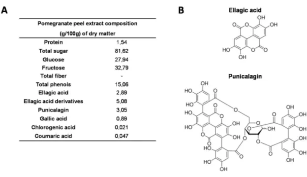 Figure 1. Composition of pomegranate peel extract (PGPE). (A) Chemical composition of PGPE   (g/100 g·dry·matter)